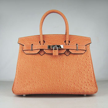 Hermes Birkin 30Cm Ostrich Stripe Handbags Orange Silver